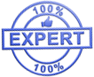 100% expert badge